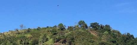 Milton Ramos heiße freie bilder