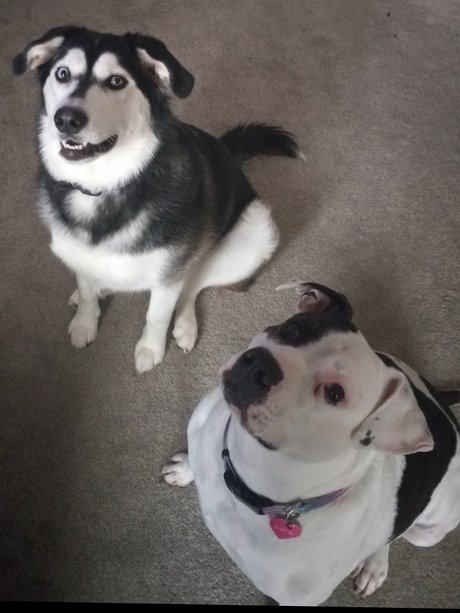 Karah perfekte sex galerie