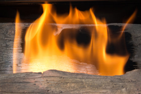 Miss Anastacia model freie archiv