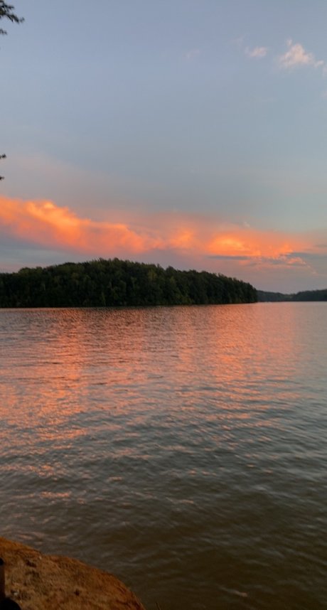 MissBehavior porno xxx archiv