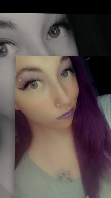 Meow Cat top hd bild