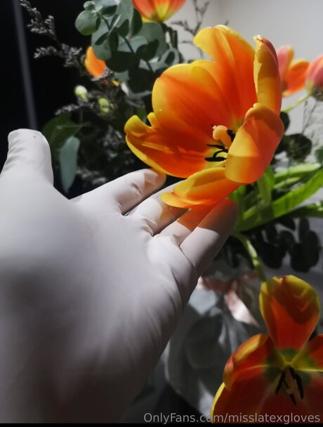 Miss Latex GLoves nackt perfekte foto