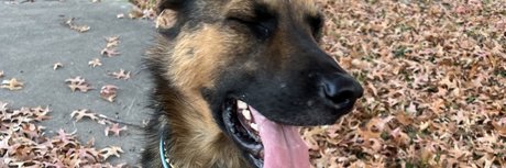 aerie_ xxx nette fotos