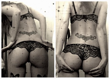 Hilton exklusive nette archiv