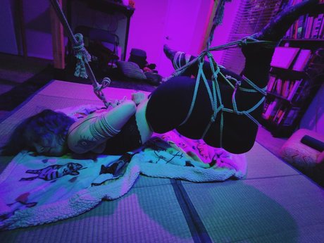 smolekittencat perfekte akt galerie