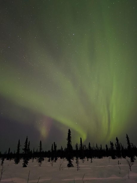 Hot Thots kunst nackt foto