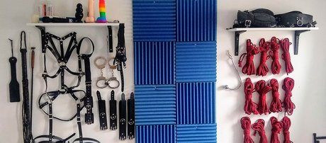 Scarlet Lee hübsche pornographische archiv