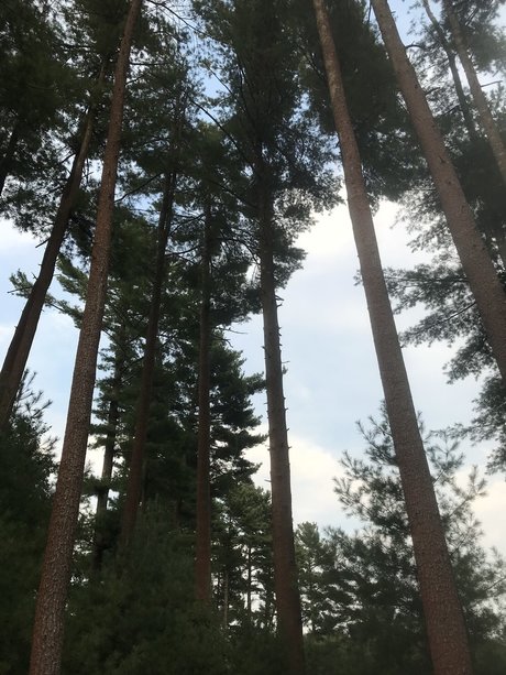 Alexandra Quinn schauspielerin exklusive foto