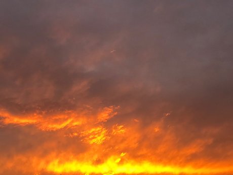 Isabella Fontenna_ xxx nette galerie