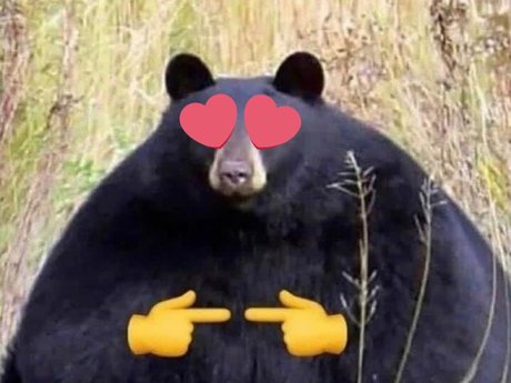 JB the Jawbreaker Bear nackte pornostar bild