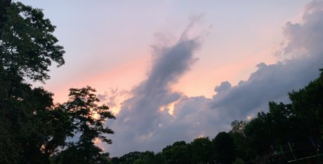 Hoffzilla nackt pornostar archiv