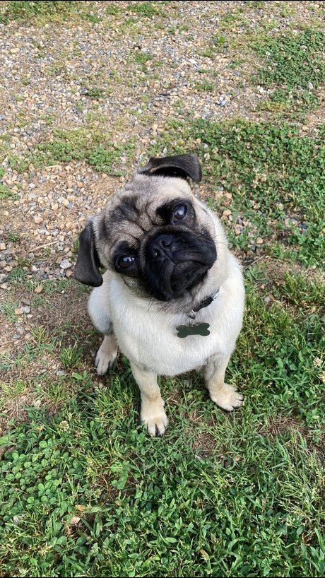 hisreverie schauspielerin erwachsene bild