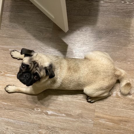 hisreverie porno nackt foto