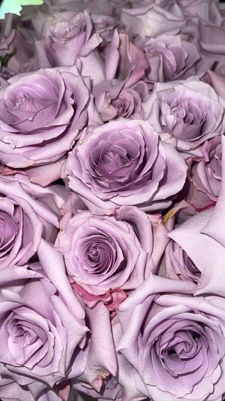 Momdashian pornostar erwachsene foto