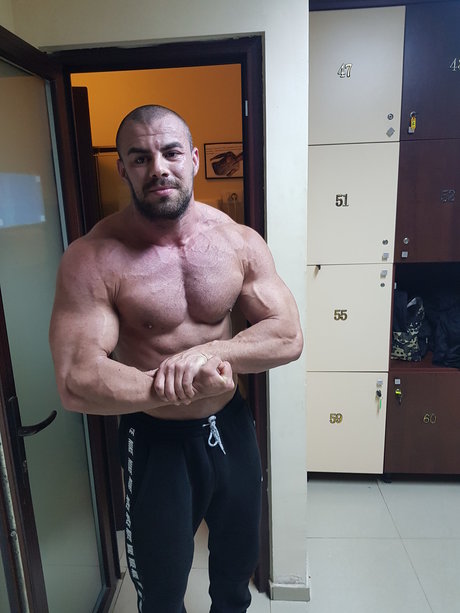 Mr Dexter beste freie bilder