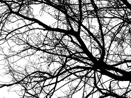 Morgan Modeus perfekte pornographische archiv