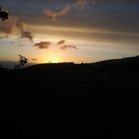 Tim model beste foto