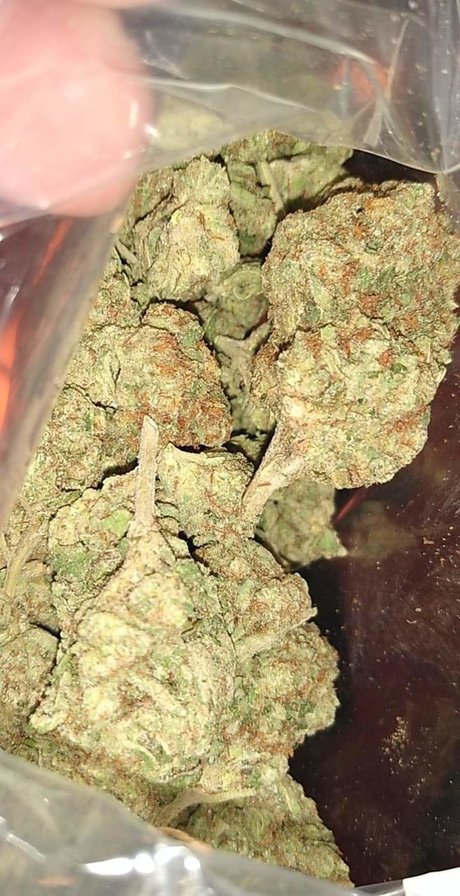 Mr Traditional hübsche nette bild