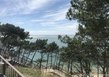 redarmy erwachsene sexy bild