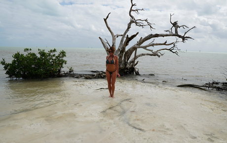 dreampixsxm xxx sexy foto