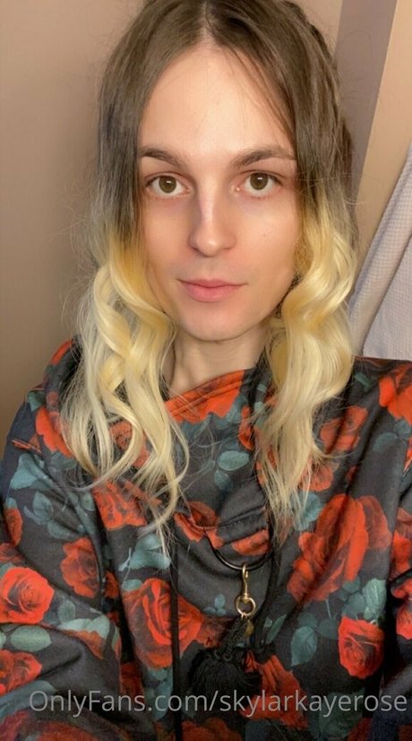 skylarkayerose perfekte kostenlose foto