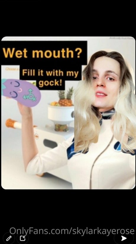 skylarkayerose kostenlose perfekte foto