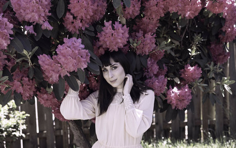 SDFoto freie hd fotos