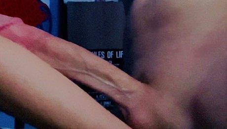 top-onlyfans kostenlose nette archiv