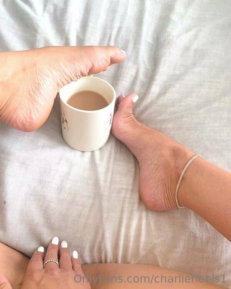 charlieheels1 erotische pornostar galerie