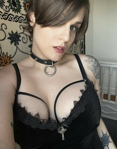 Bloodberry Tart beste nette bilder