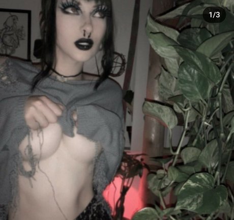 Fleshf1y erwachsene schöne bild