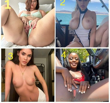 tinytayxo beste heiße galerie