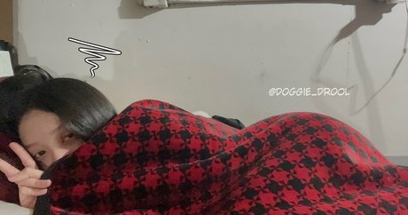 Doggie Drool top erwachsene foto