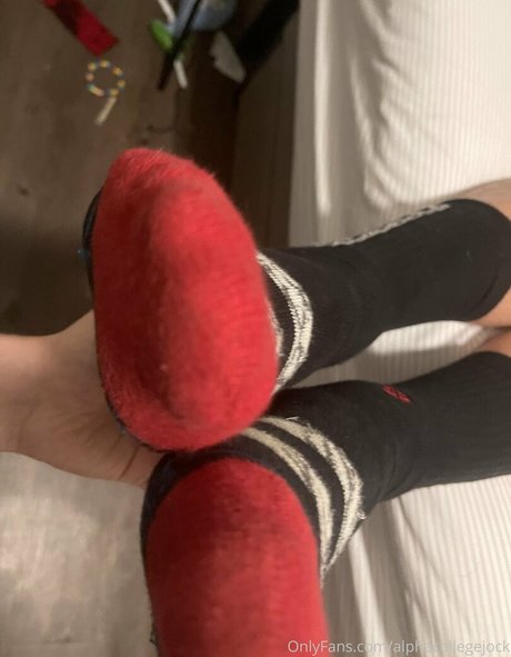 alphacollegejock erwachsene pornographische galerie