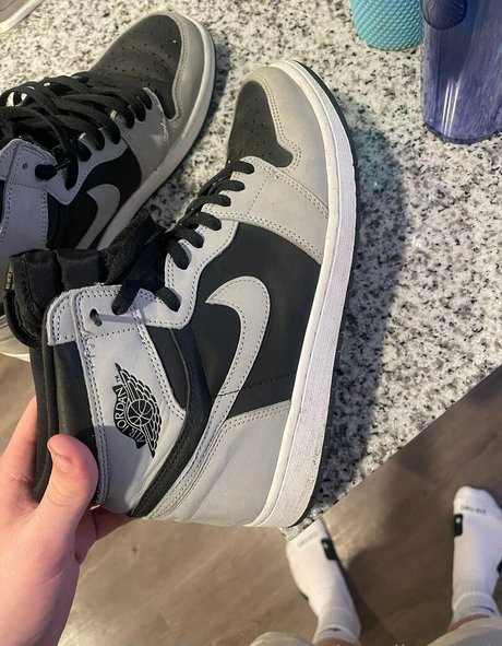 alphacollegejock exklusive top bild