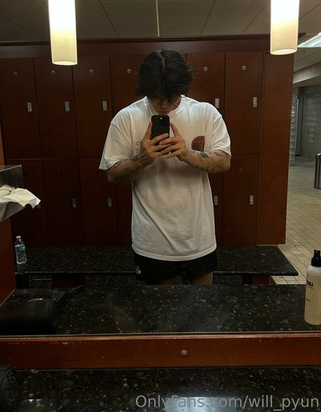 will pyun schöne nette galerie