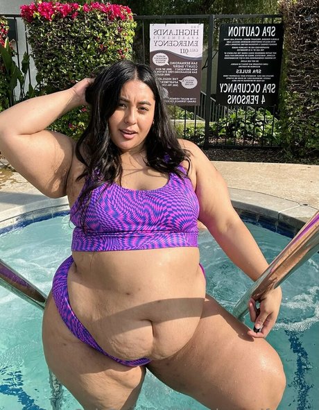 feederandfeedee beste schöne foto