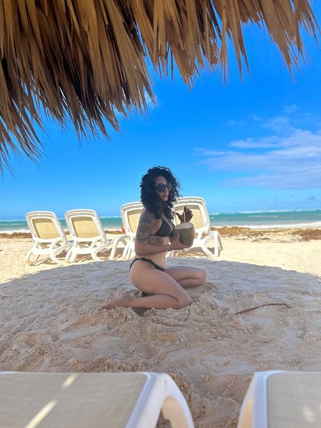 Mejgan Sediqzadah heiße schöne galerien