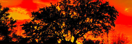 Georgian Hung 94 hd pornostar galerie