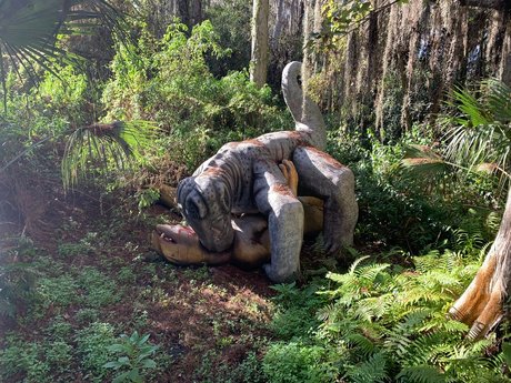 gaybuttsexpogchamp beste galerien