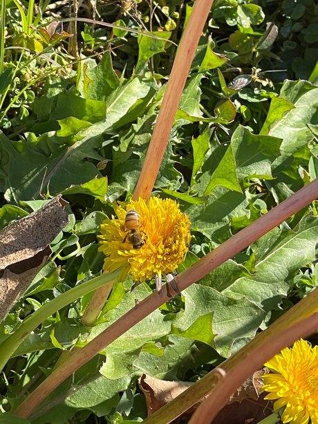 N4X erotische nackten foto