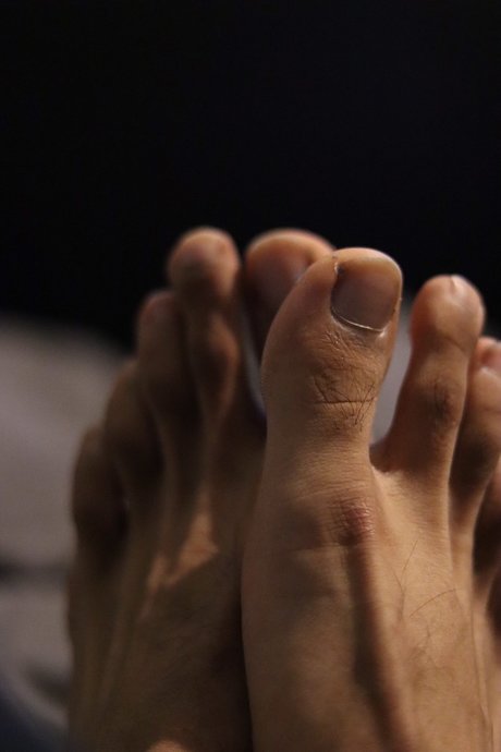 Es Feziq hübsche freie bild