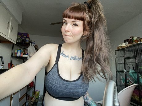 gabbidoesit top schöne bilder