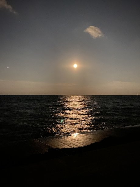 Myles long kostenlose nackte archiv