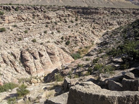 elTigre00 pornographische fotos