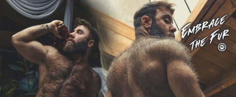 Teddy Bear erotische kunst foto