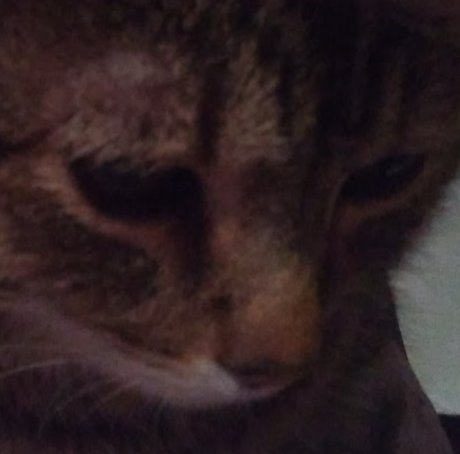 journalisten-onlyfans hd erotische bild