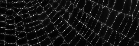 ry gravez free hd erotische archiv