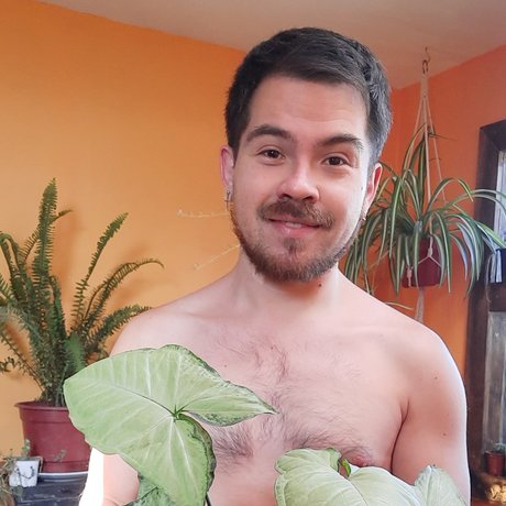 NachoPlantitas kunst pornografische fotos