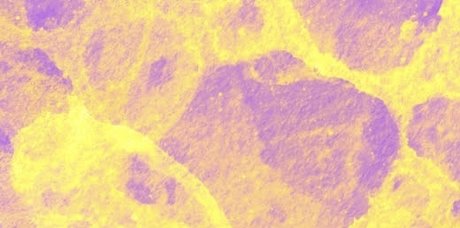 Emmy D sexy nackt foto